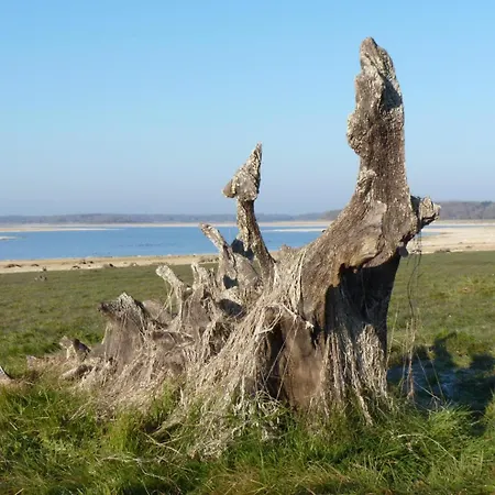 Le Four De Mimile Tatil Evi Montieramey