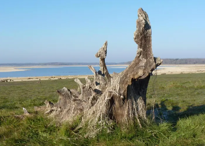 Le Four De Mimile Holiday home Montieramey